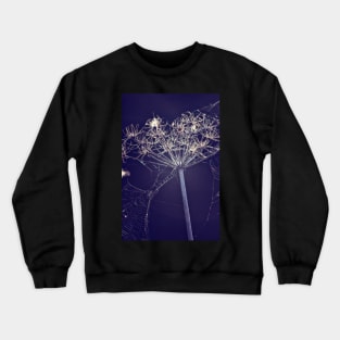 Echo Of Summer Crewneck Sweatshirt